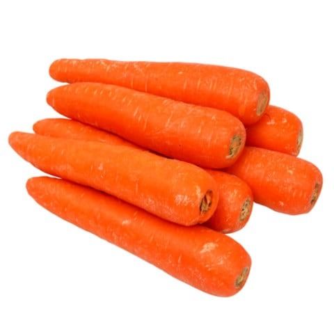 Carrot